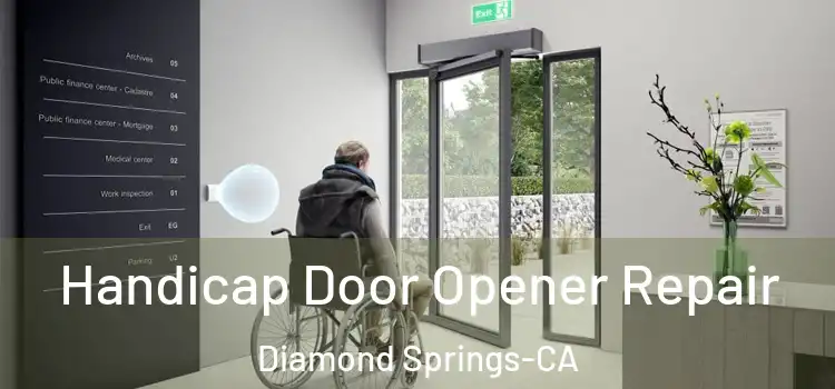  Handicap Door Opener Repair Diamond Springs-CA